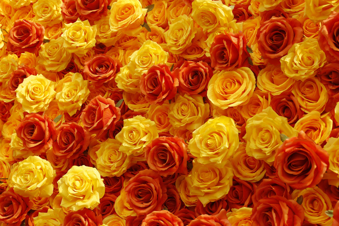 Gradient Orange And Red Roses, 5D, Fabric Backing Artificial Flower Wall