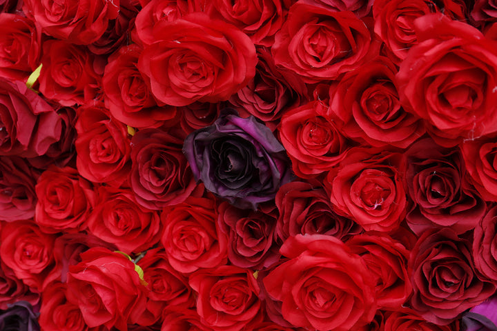 Red Purple Roses, Artificial Flower Wall, Wedding Party Backdrop